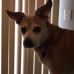 Meet your Posher, Teri